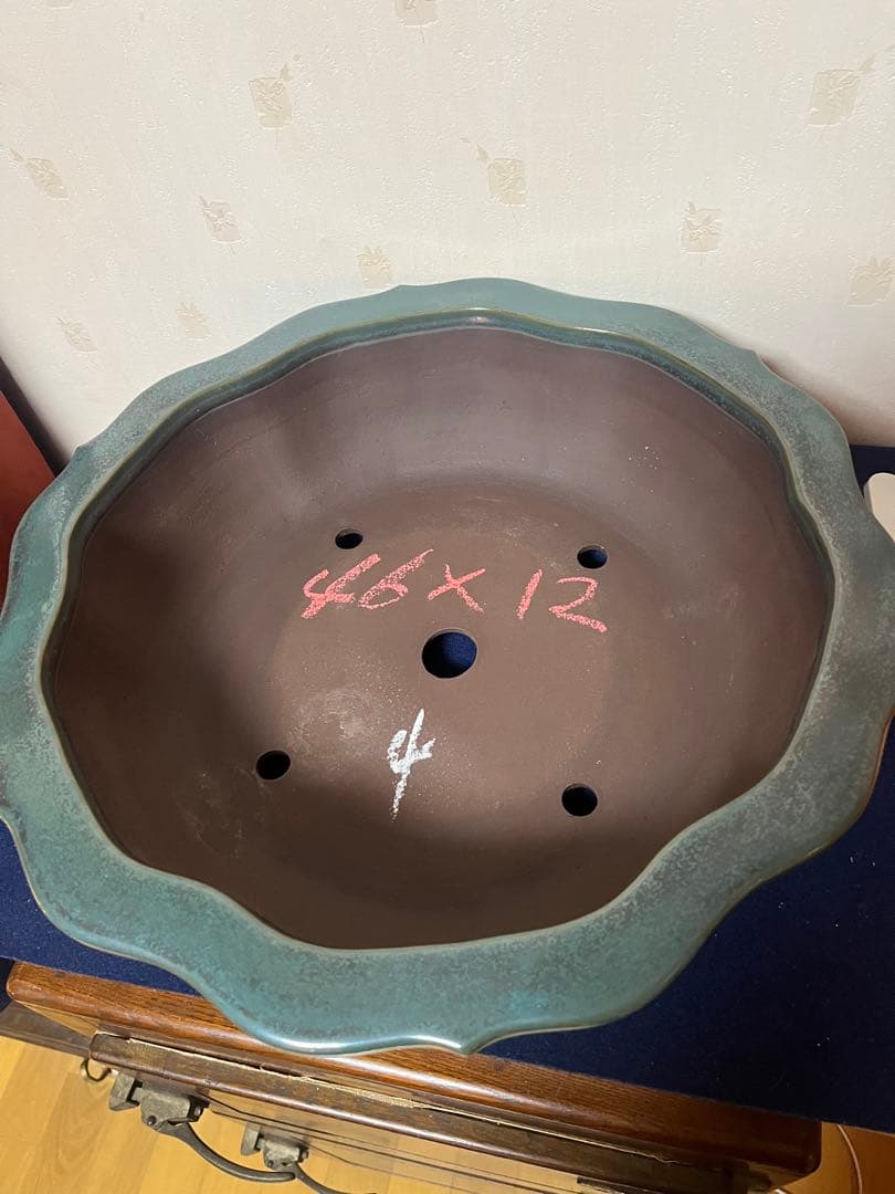 431 盆栽　盆栽鉢　植木鉢　和鉢　山秋