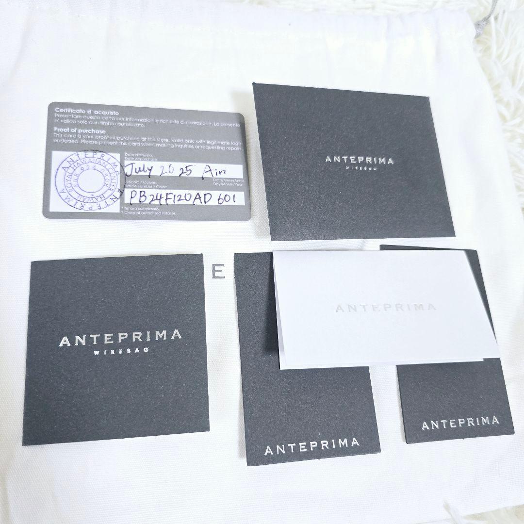 アンテプリマ✨ハワイ限定✨ステッラカラー バケット 裏地付き ミニアトゥーラ