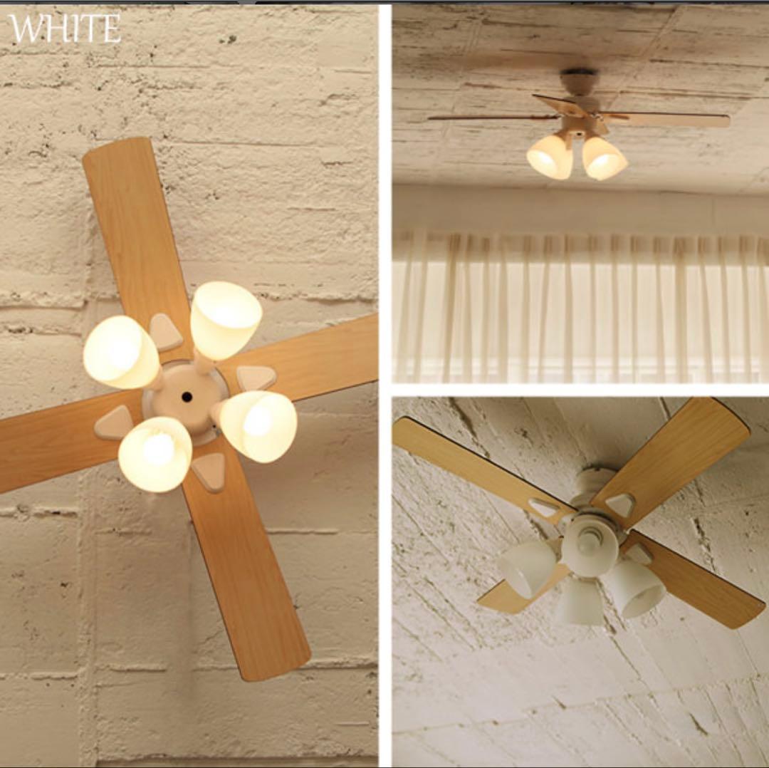 Windouble 天井ファンライト 4灯