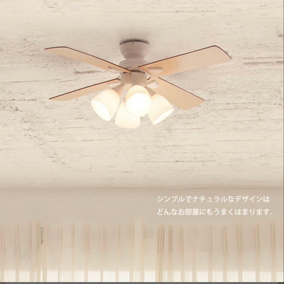 Windouble 天井ファンライト 4灯