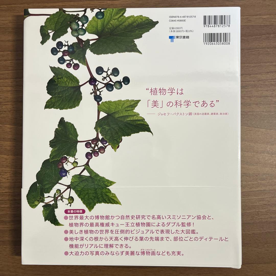 図鑑OCEAN LIFE海の生物 FLORA植物の世界
