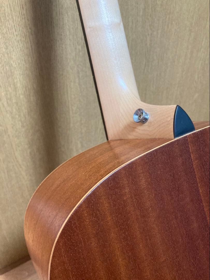 Taylor Academy 10e エレアコ アコースティックギター テイラー