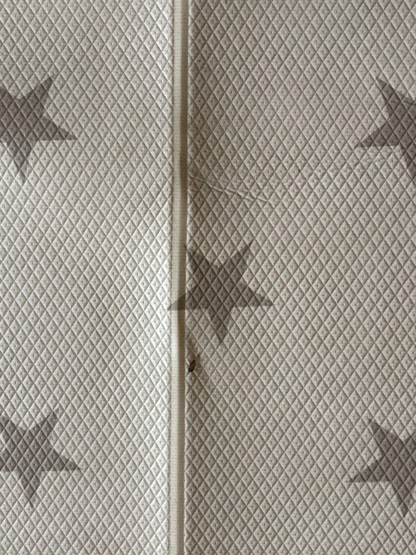 dfang ディパン 防水クッションマット　140×360