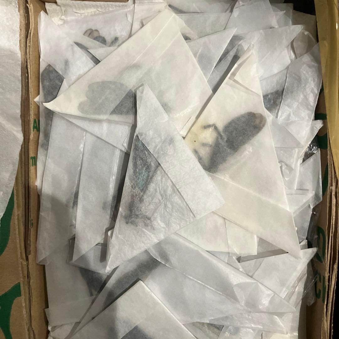 メタリックなフィリピンのカワトンボ　バルク品