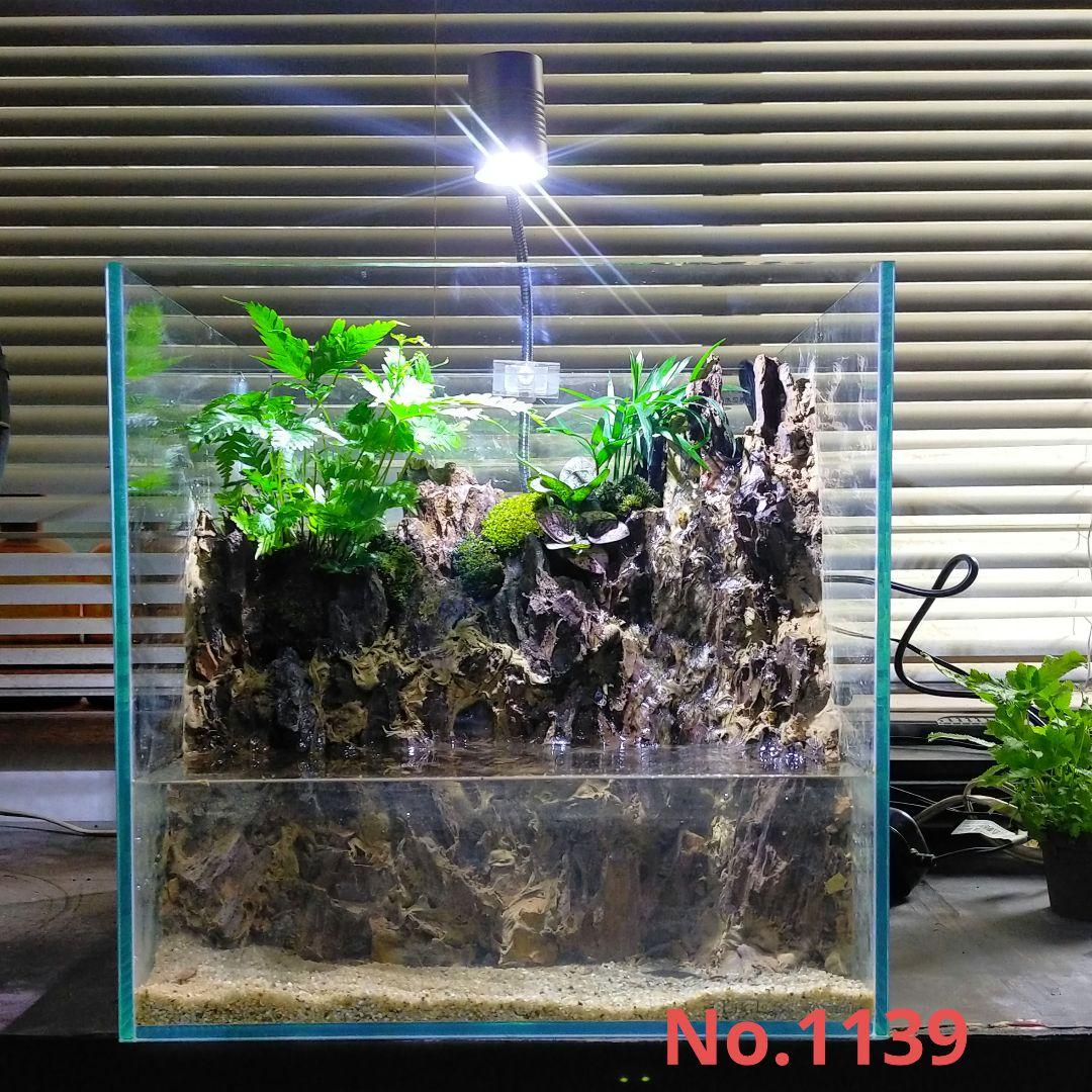 滝の流れるアクアテラリウム　イモリウム　No.1139
