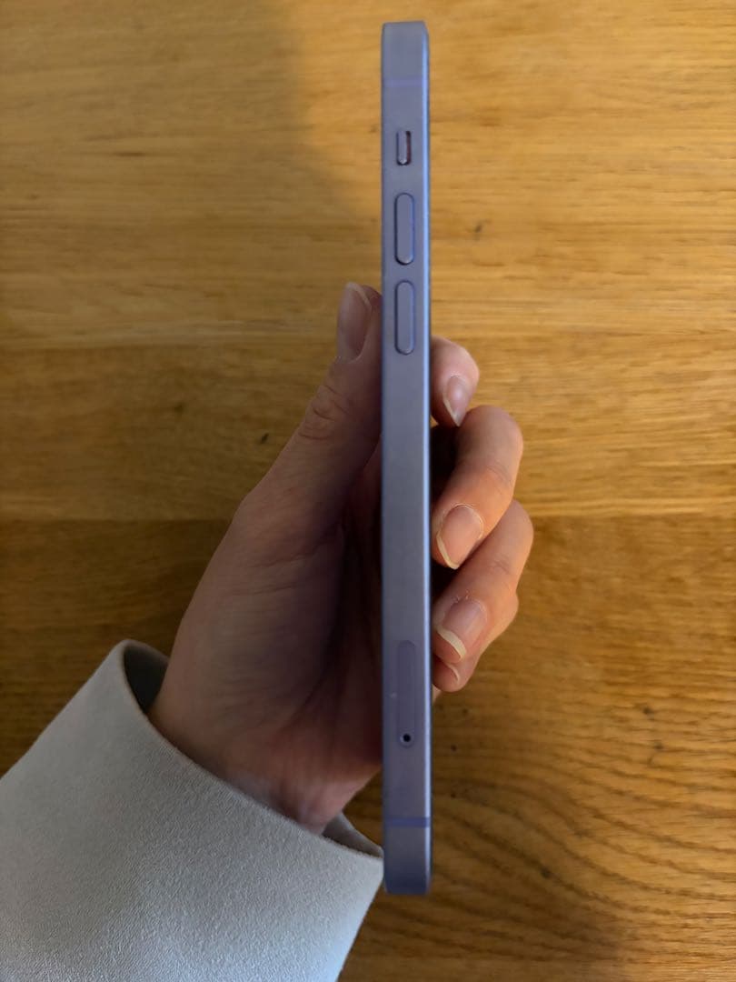 スマートフォン本体 Apple iPhone 12 256GB