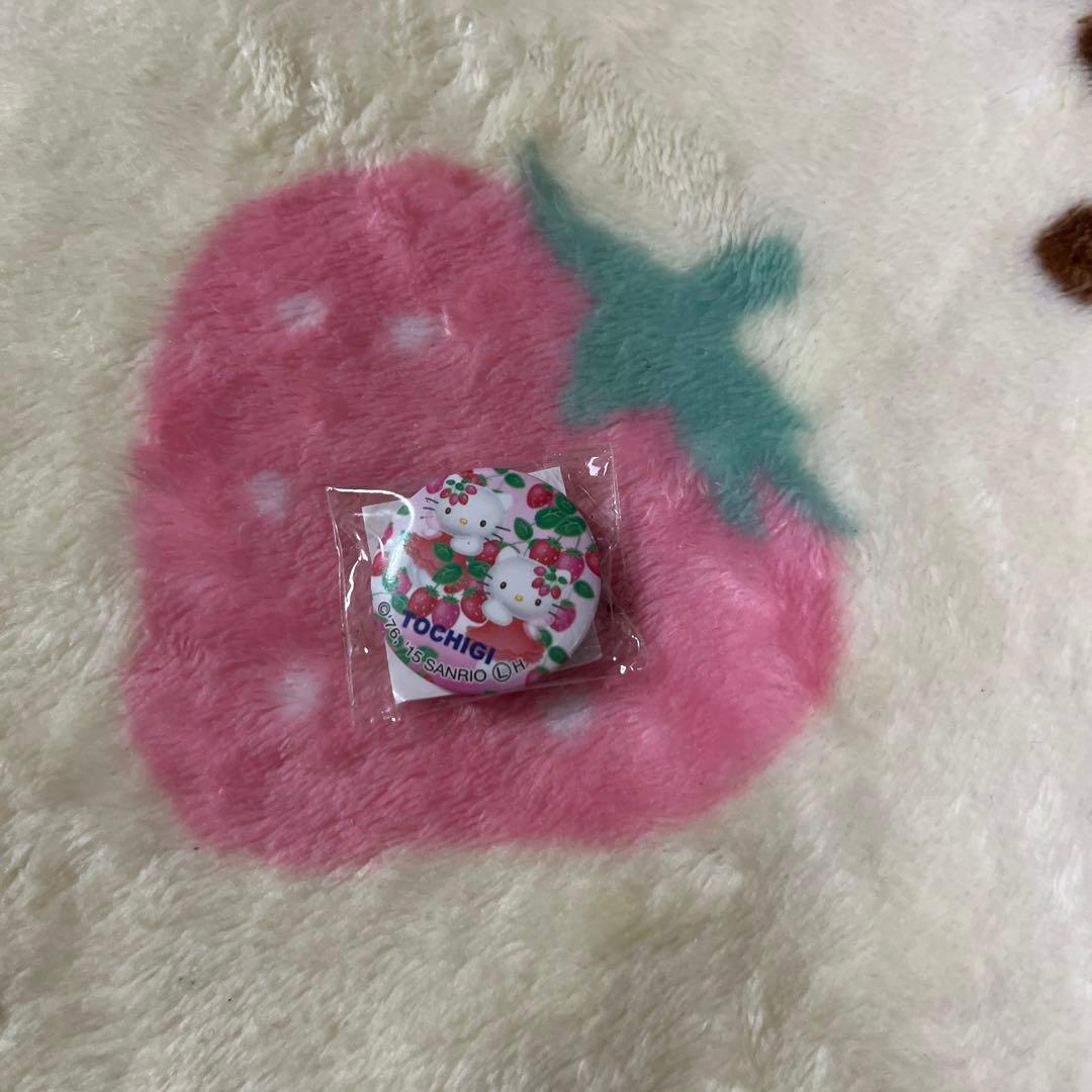 ご当地キティ セット レア ご当地ストラップ 根付け 10点まとめ売り