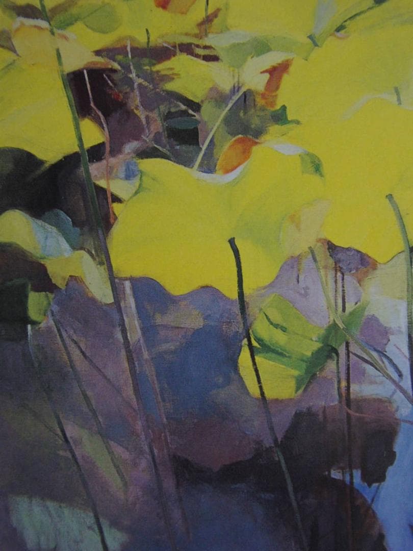 宮下直子、【風と遊ぶ】、希少な額装用画集より、新品額装付、状態良好