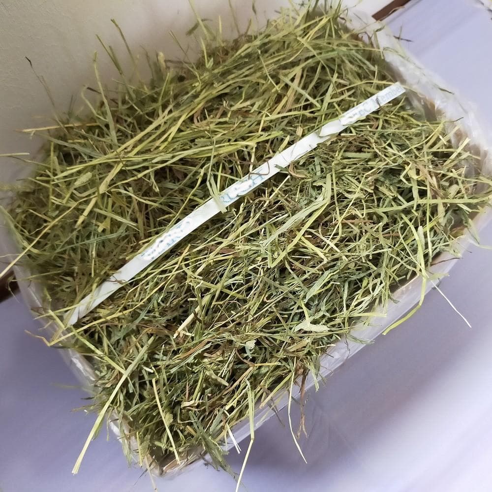 【家計応援価格】US産 チモシー 100kg ２番刈 ソフトSプレミアム