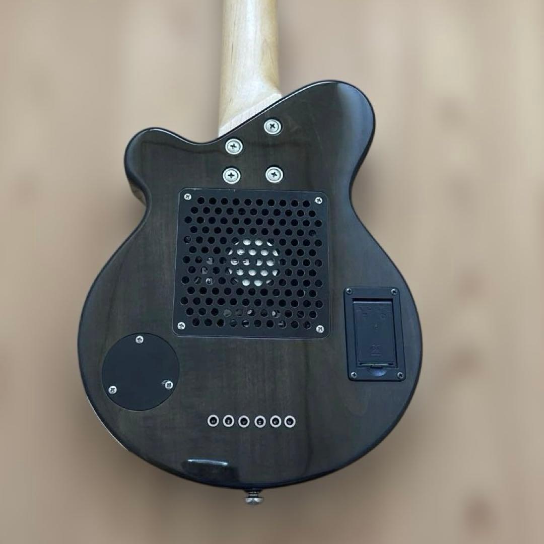 Pignose ギター シースルーブラック (ソフトケース付き)