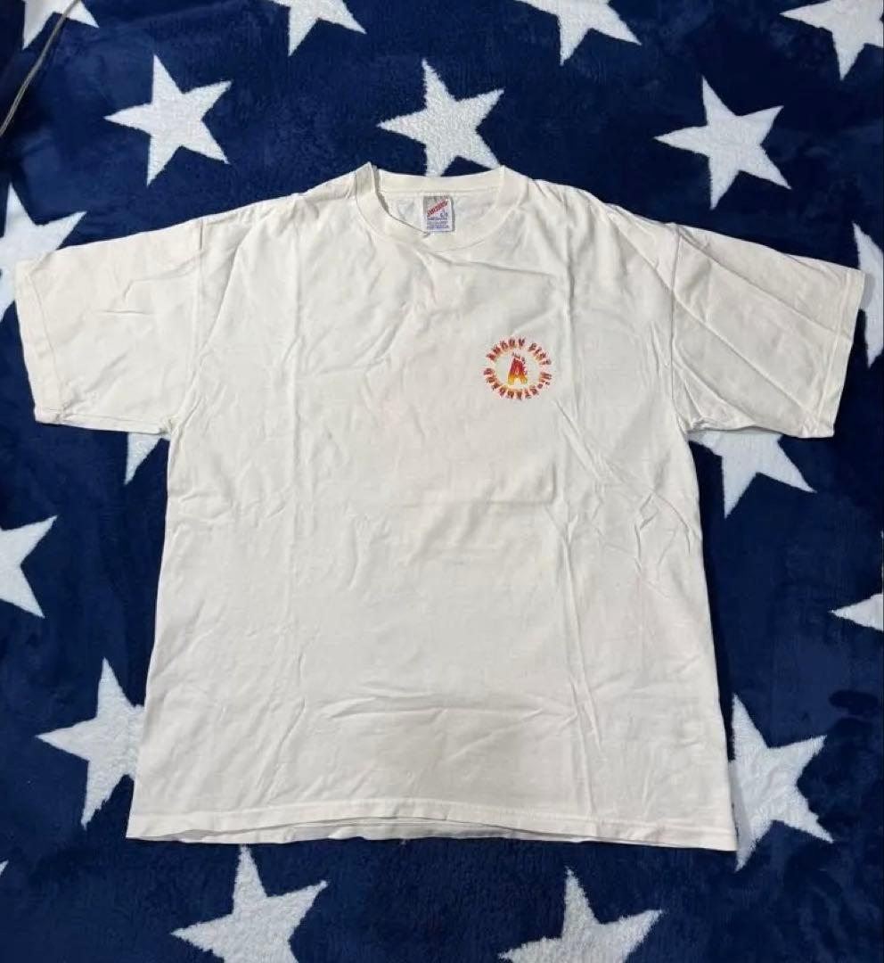 90s ハイスタ Hi-STANDARD バンド ツアーＴ