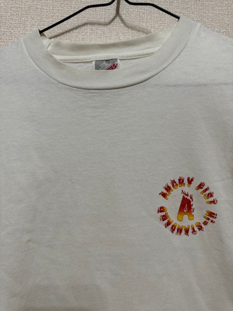 90s ハイスタ Hi-STANDARD バンド ツアーＴ