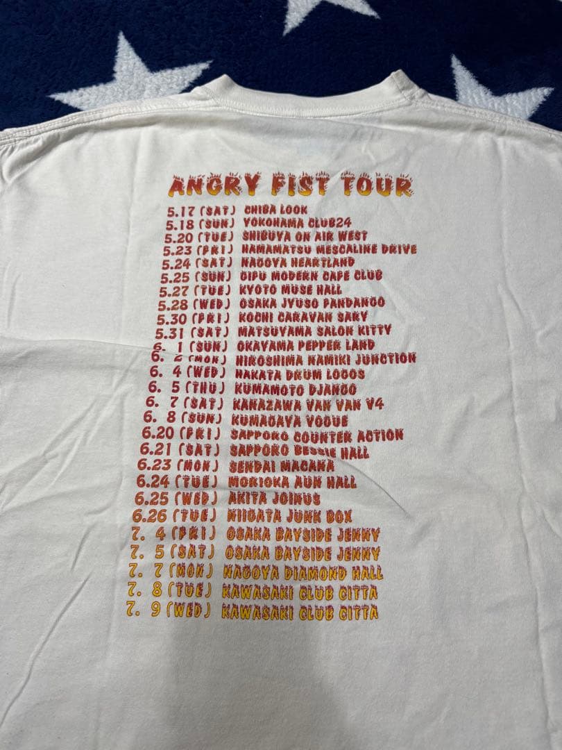 90s ハイスタ Hi-STANDARD バンド ツアーＴ