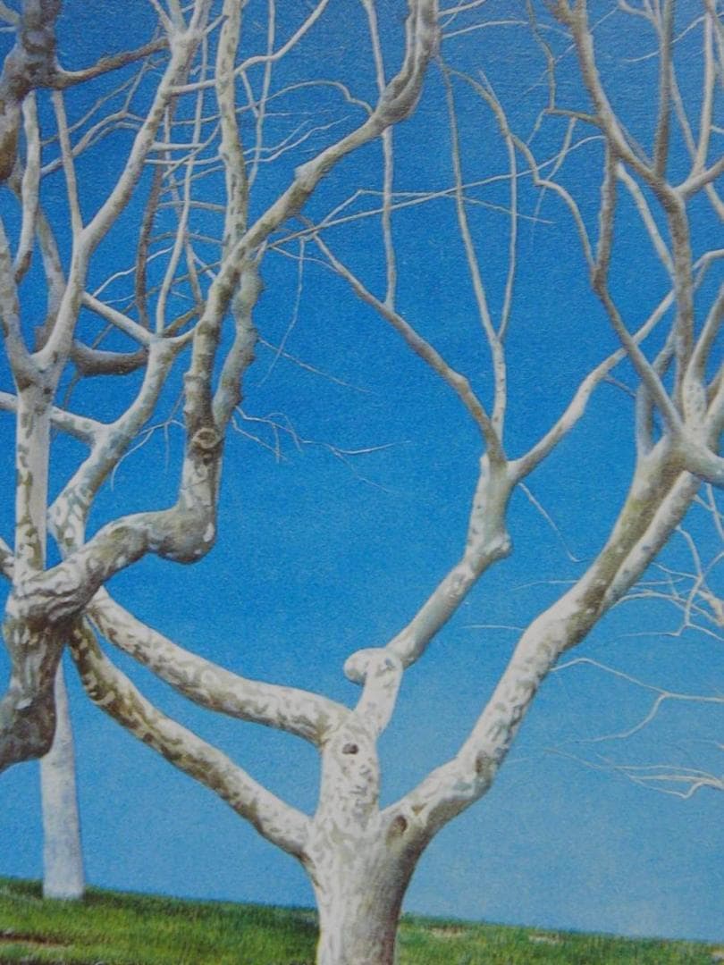 川村悦子、【沈黙と青空】、希少な額装用画集より、新品額装付、状態良好