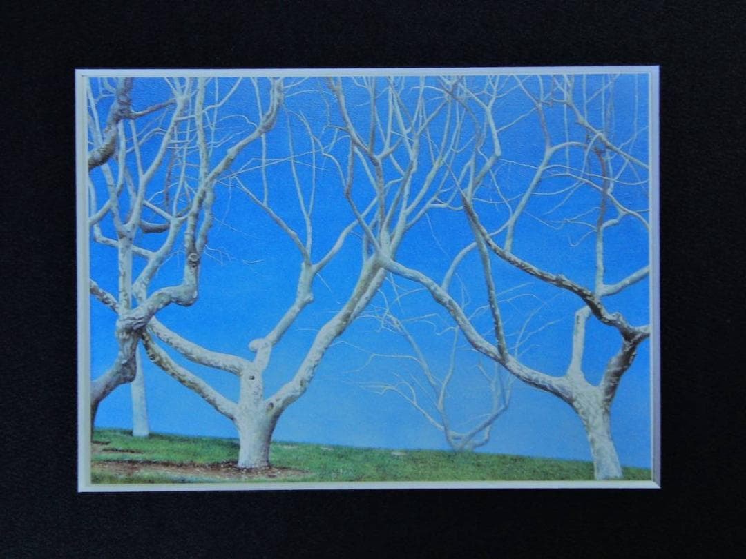 川村悦子、【沈黙と青空】、希少な額装用画集より、新品額装付、状態良好