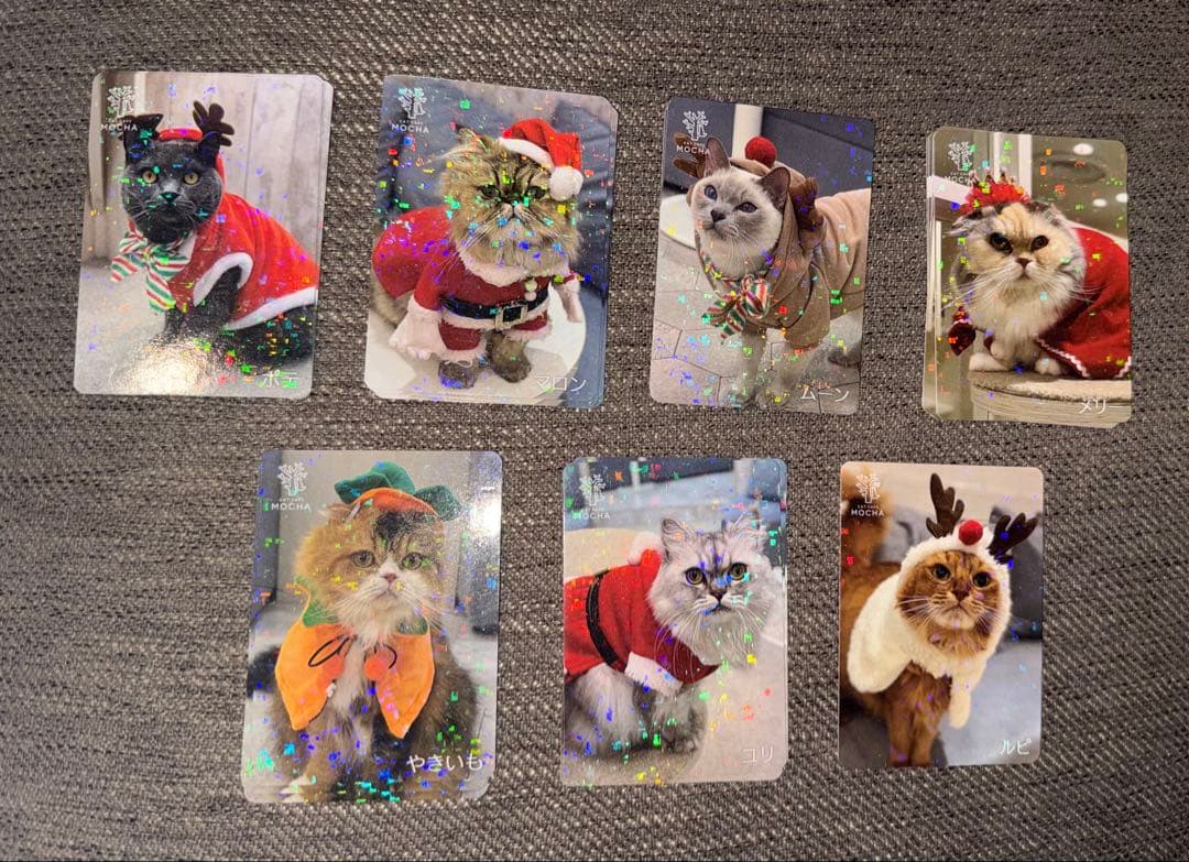 【バラ売り可】にゃんずトレカ町田ジョルナ店 2024