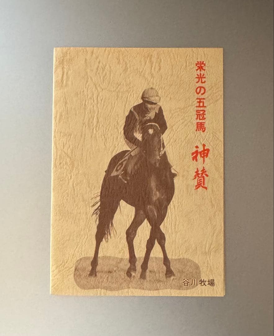 【激レア】関係者のみ配布シンザンのメモリアルTカード