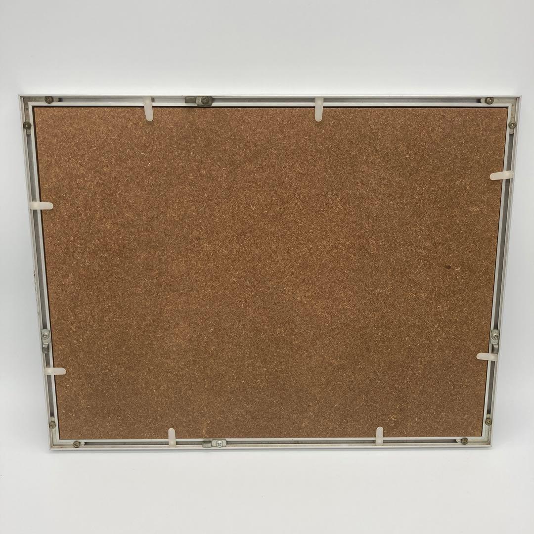 【レア】　モルフォ蝶　アート　標本　芸術　コレクション　海外　美術　絵　昆虫　⑥