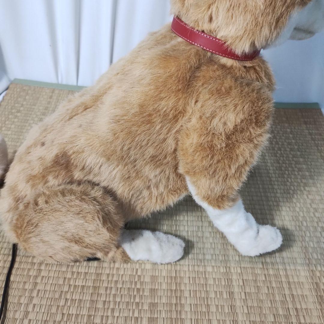 z【一部難あり】 電動 ペットロボット ココチモ 愛犬しばちゃん 等身大 柴犬