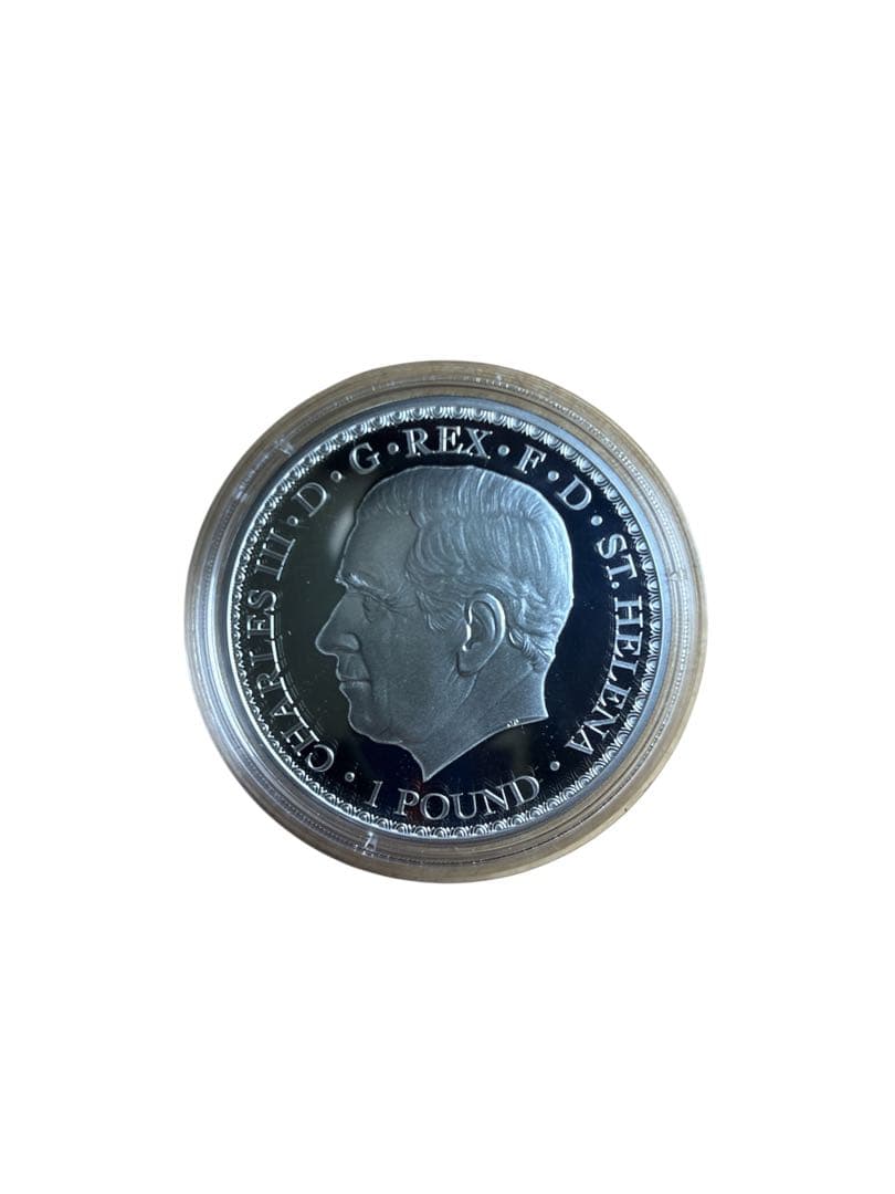 2023年 Una and the Lion シルバー　ウナとライオン