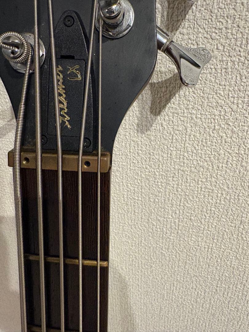 ベース Warwick Streamer LX 5