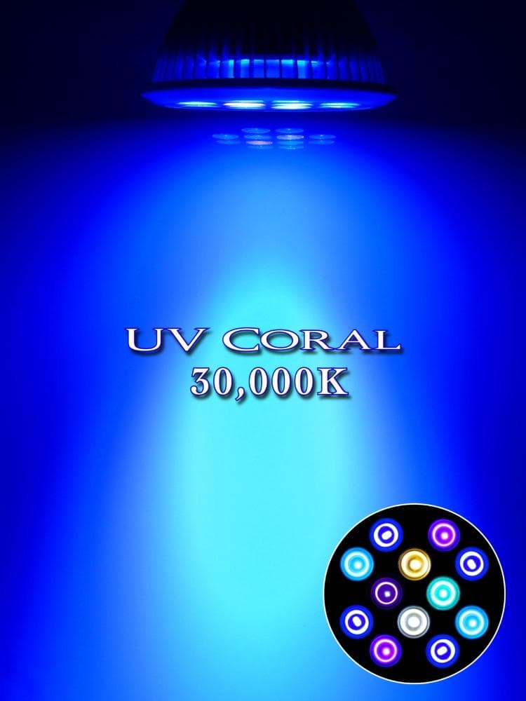 30,000K サンゴ育成・海水魚飼育用フルスペクトルLED