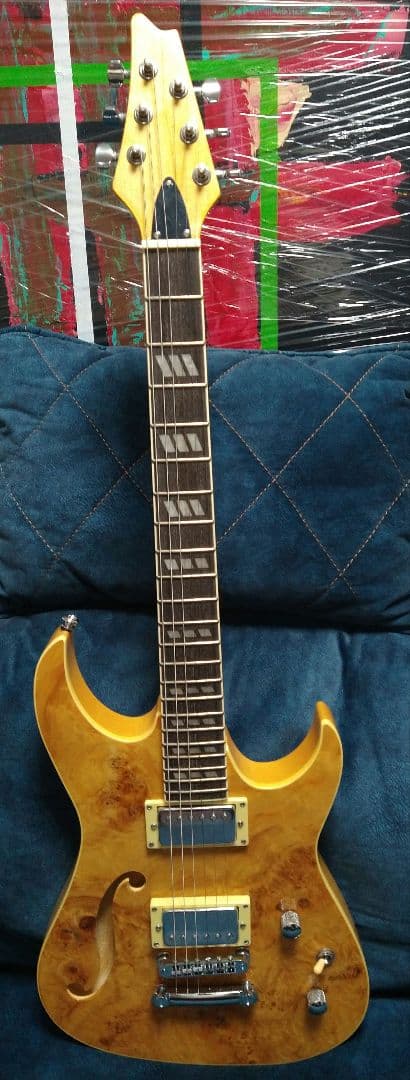 新品 カスタムメイド エレキギター バードアイメープルトップ＆バスウッドボディ