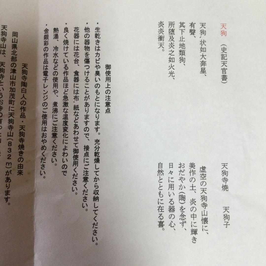 希少　絵皿　脚本家「高橋玄洋」さんと天狗寺「陶白人」のコラボ作品