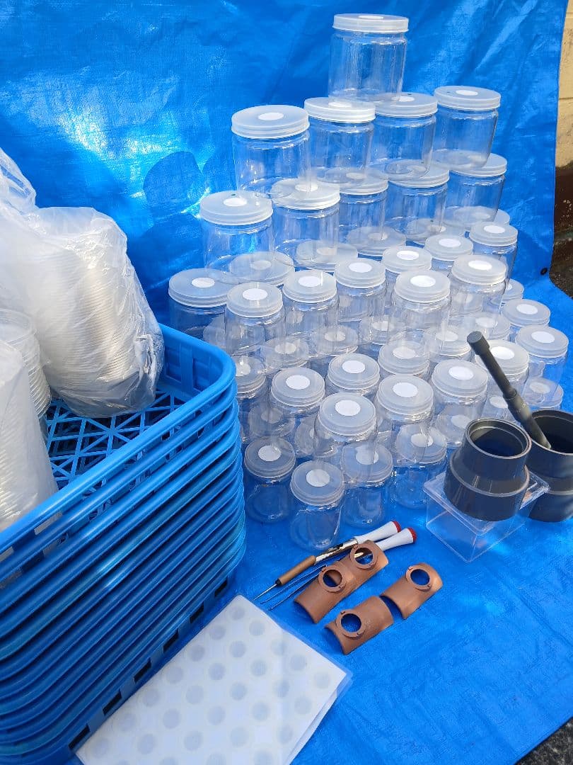 硬質クリアボトル、ボトルコンテナーなど幼虫飼育セット