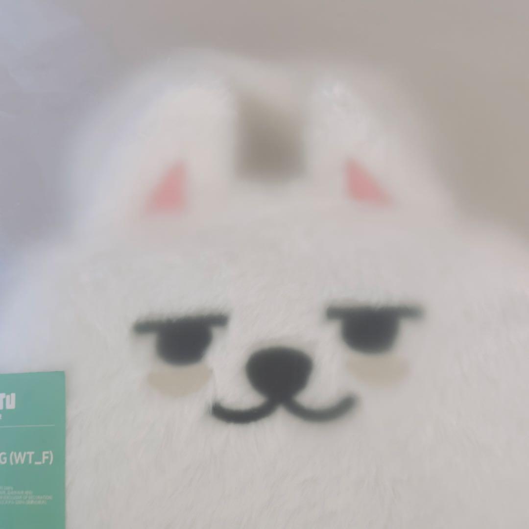 TXT プルバトゥ PPULBATU クロスバッグ ヨンモン スビン