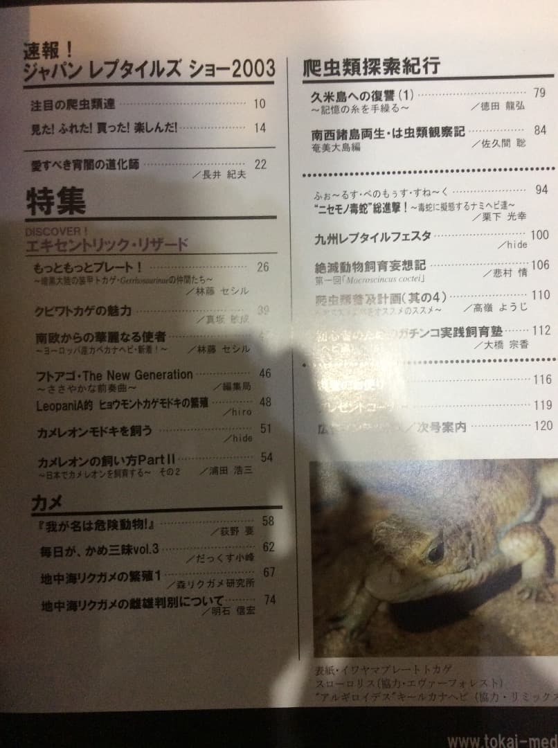 UNIQUE ANIMAL ユニークアニマル 創刊〜第8号 全8冊 東海メディア