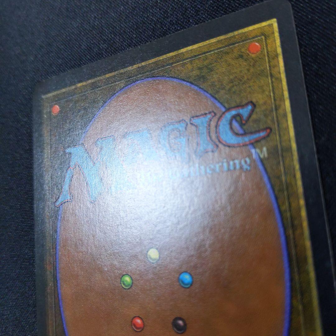 ●【擦れあり】Argivian Archaeologist　１枚