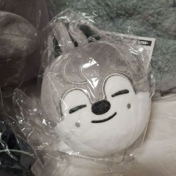 ウルフチャン　domin ATE JAPAN　BIGぬいぐるみ　手袋　マスコット