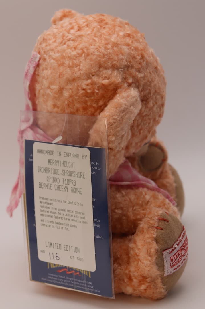 ビーニーチーキー・アカネ25cm MERRYTHOUGT日本限定116番/500