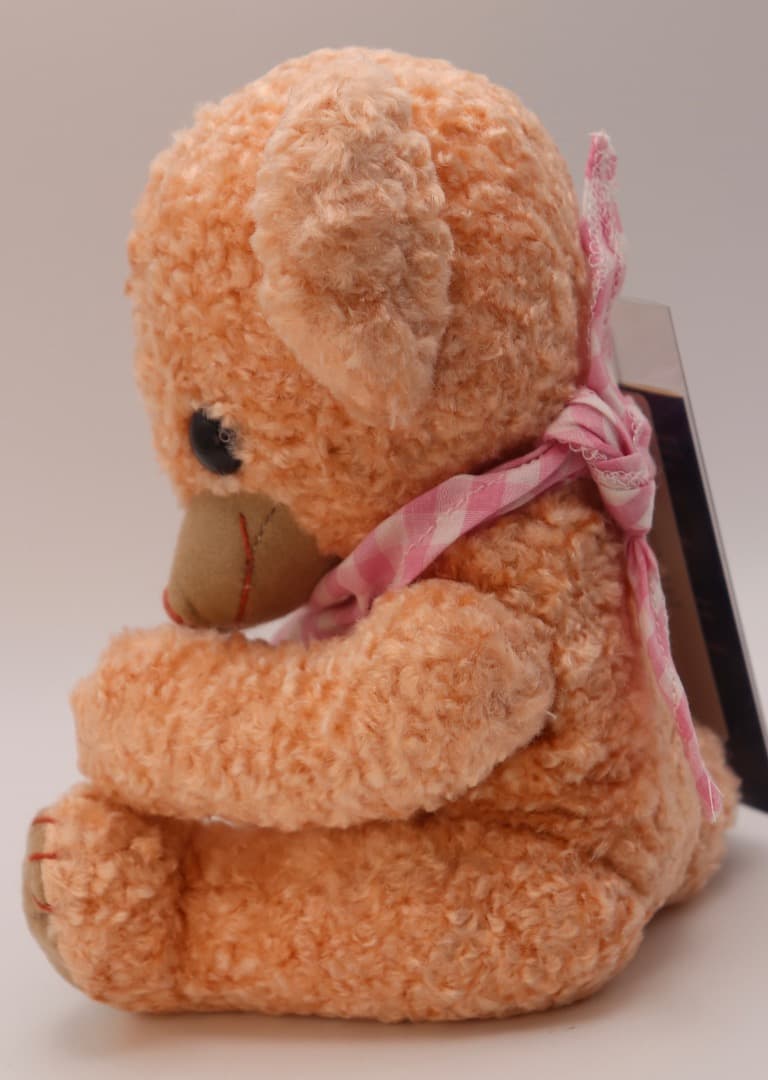 ビーニーチーキー・アカネ25cm MERRYTHOUGT日本限定116番/500