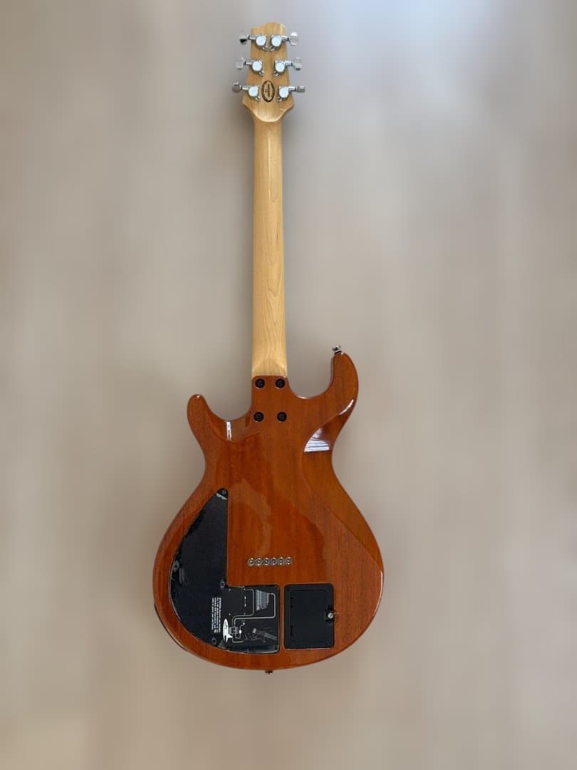 ギター Line 6 Variax 700