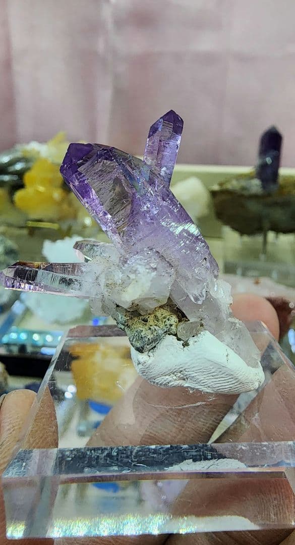 ベラ クルス アメジスト