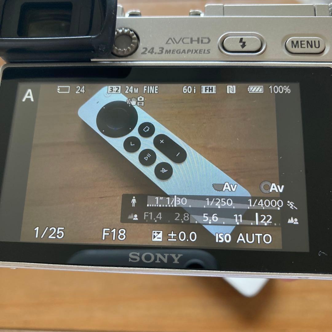 【作例あり】SONY α6000 16-50レンズ ミラーレス