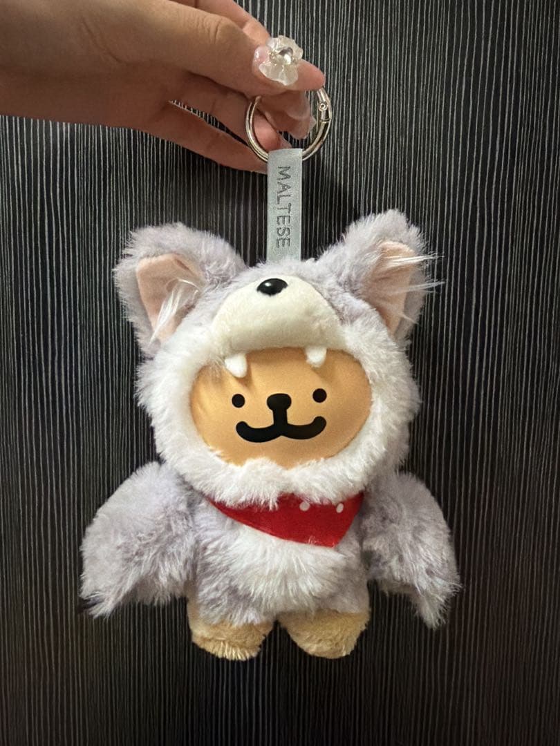 MALTESE モルチーズ 猜猜我是谁 オオカミレトリバー