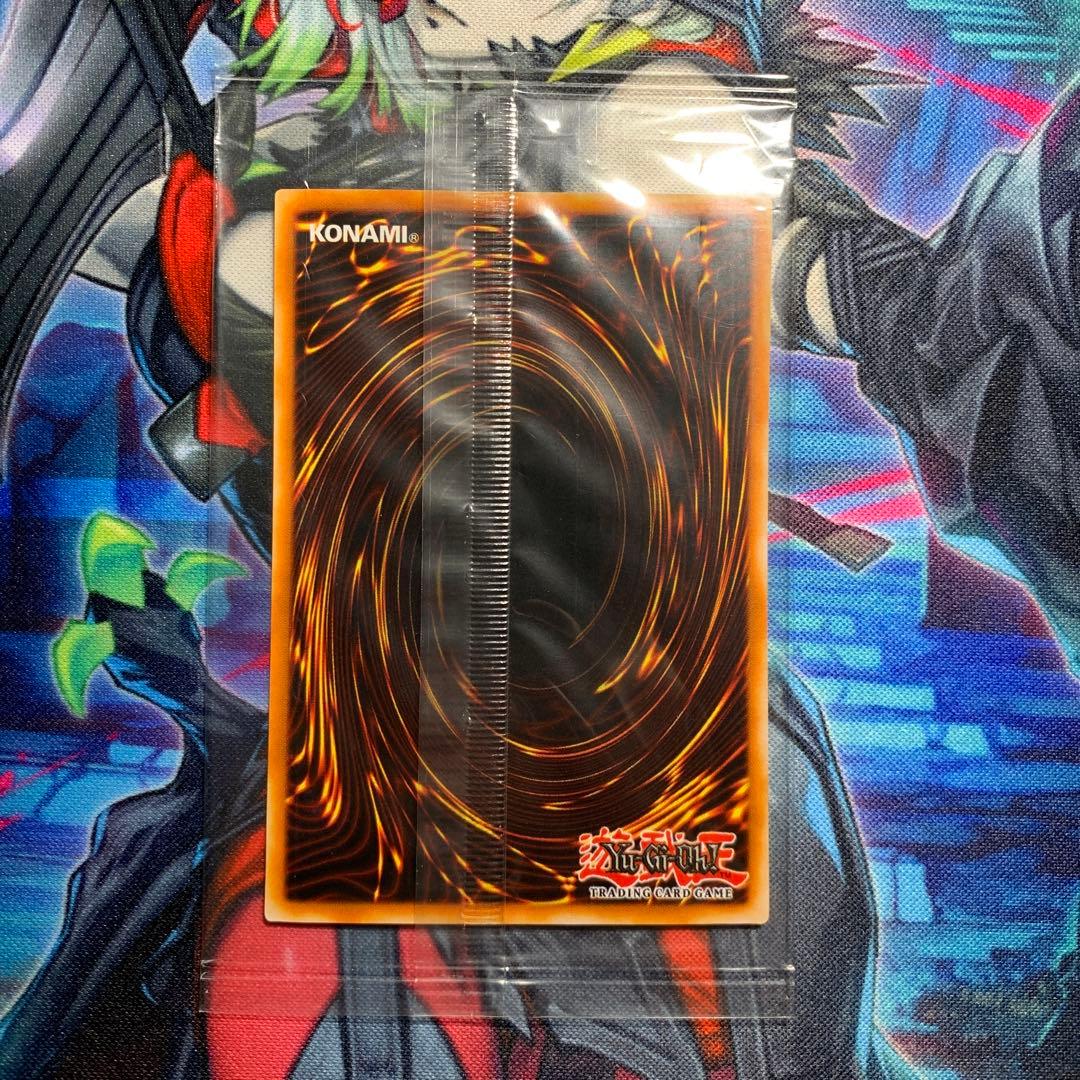 Sengenjin WCS-EN403 未開封