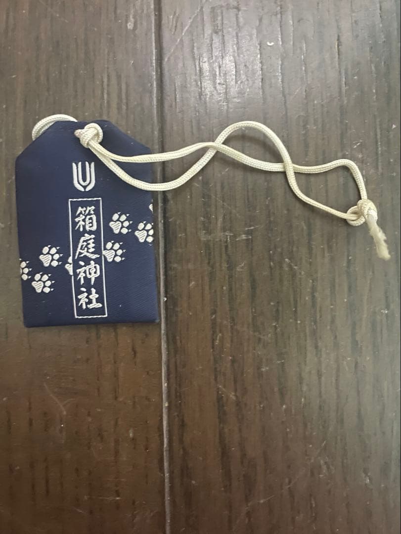 【希少】UNISON SQUARE GARDEN UNICITY お守り