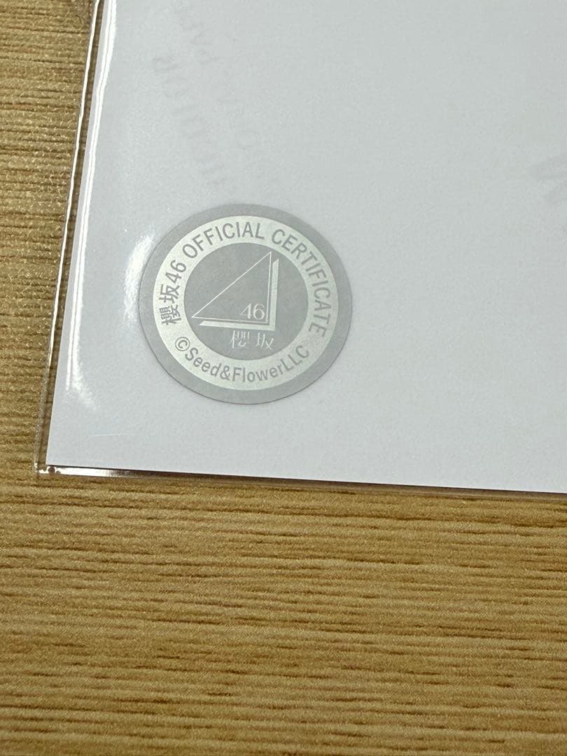 櫻坂46 直筆　生写真　小島凪紗　サンタ衣装　2025年　座り　サイン