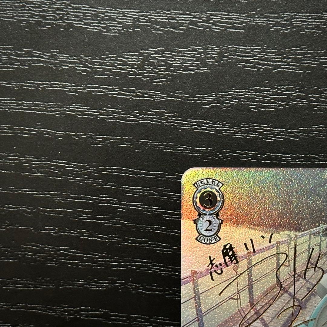 WS 次のキャンプ リン SSP サイン