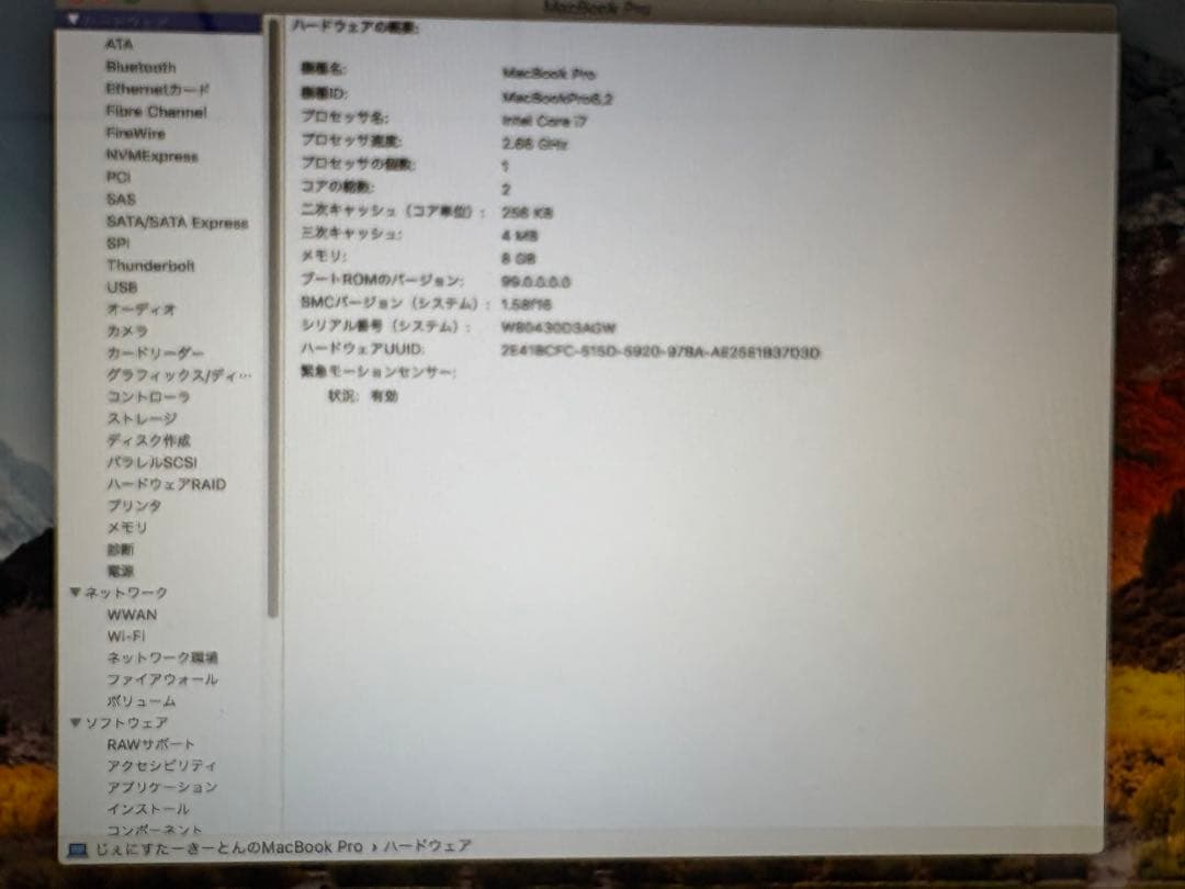 MacBook Pro (15-inch, Mid 2010) 本体のみ