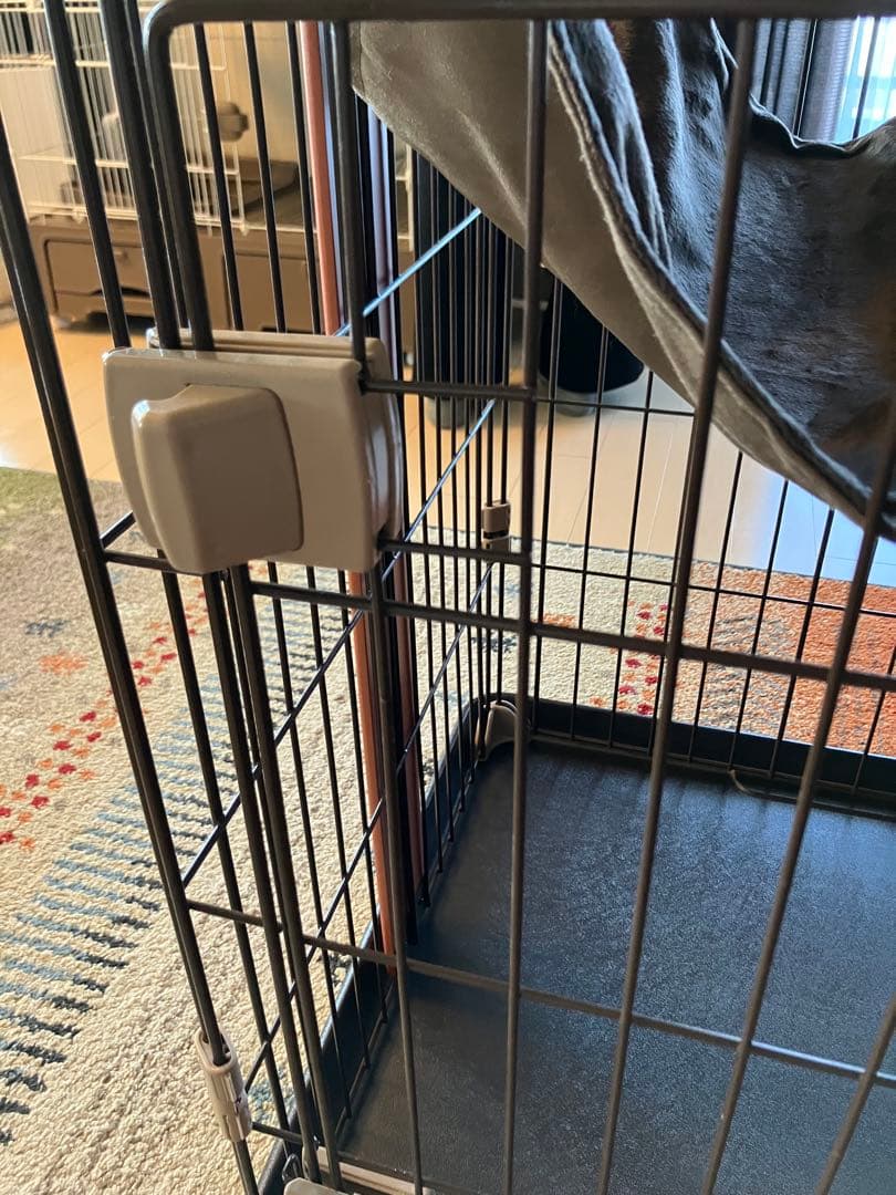 ボンビアルコン　ウッドワンサークル　キャット　ミニ　3ヶ月使用