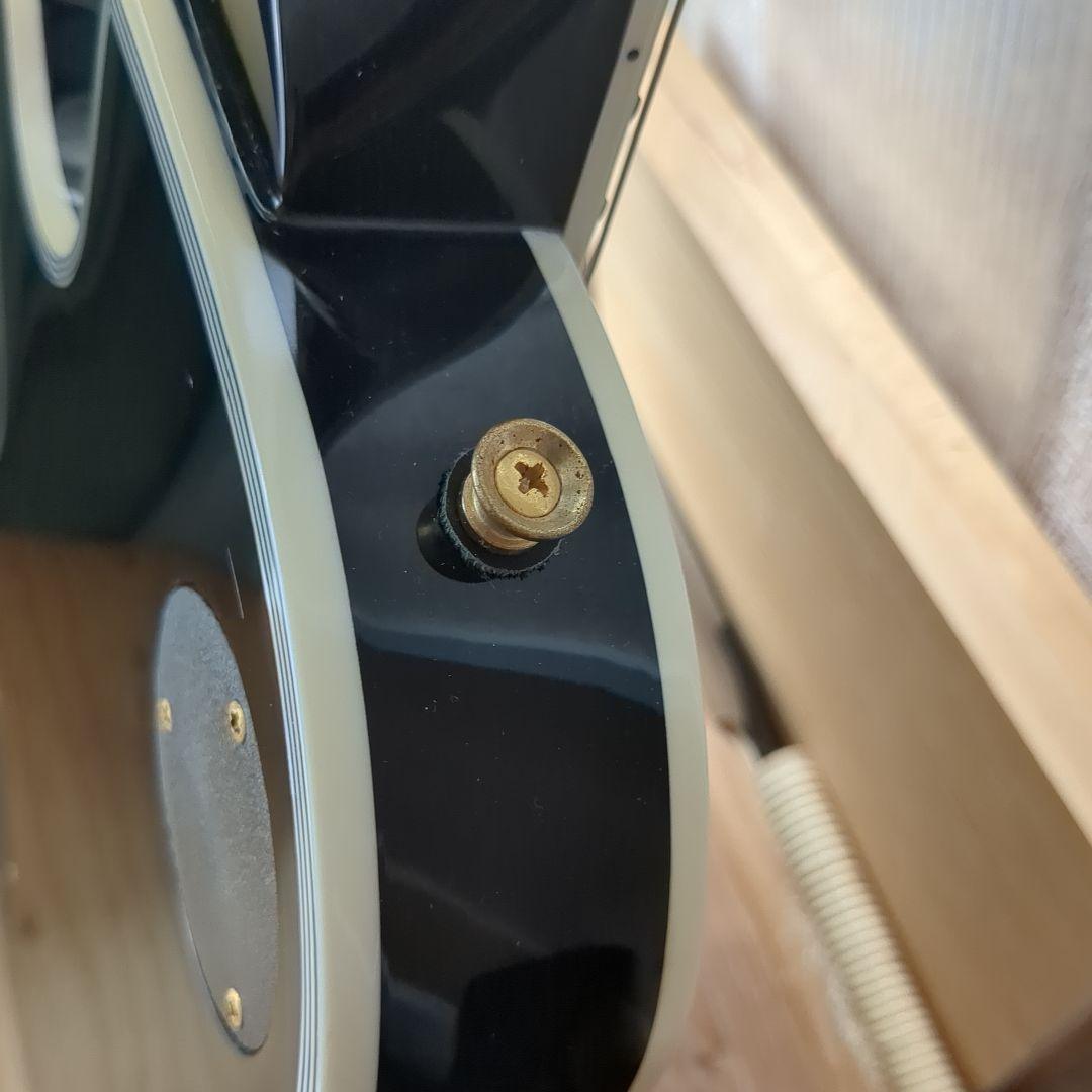 PhotoGenic エレキギター LPカスタムタイプ