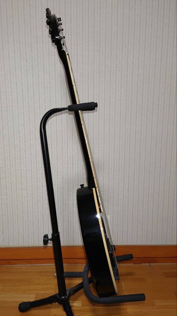 布袋寅泰 FERNANDES ZO-3 HOTEI MODEL
