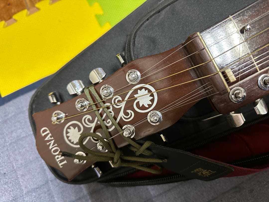 インド楽器 モハーンヴィーナ　Mohan Veena アコースティックギター