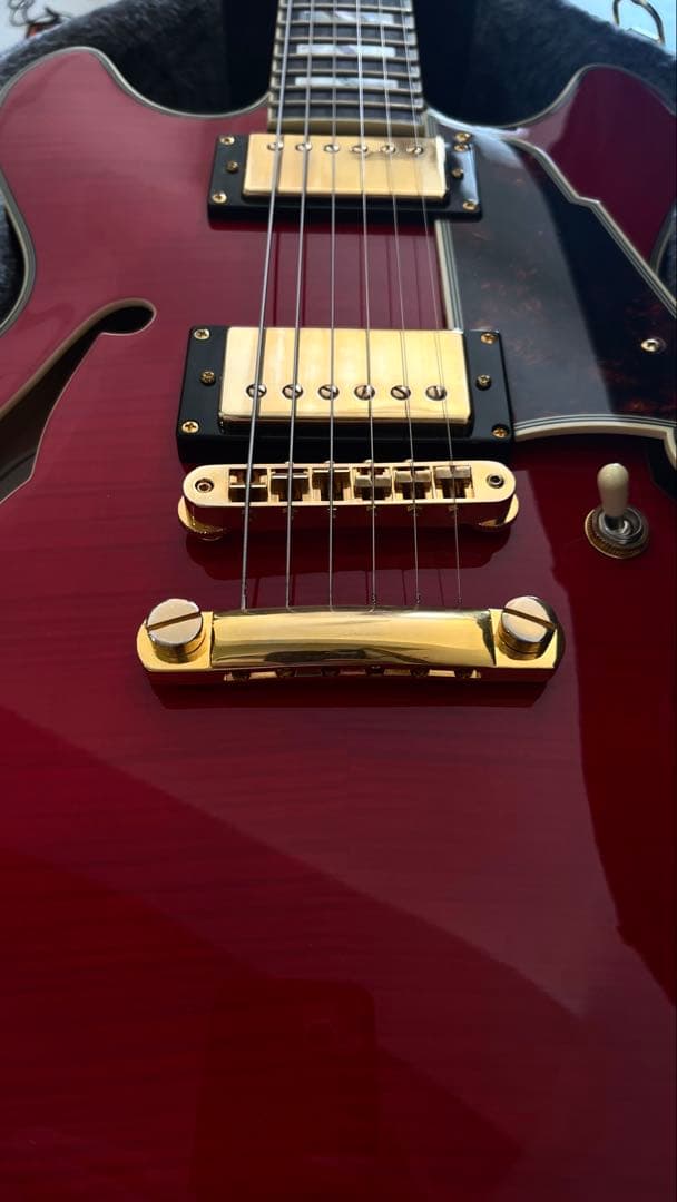 上位仕様　D’Angelico Excel Mini DC Duncan 59