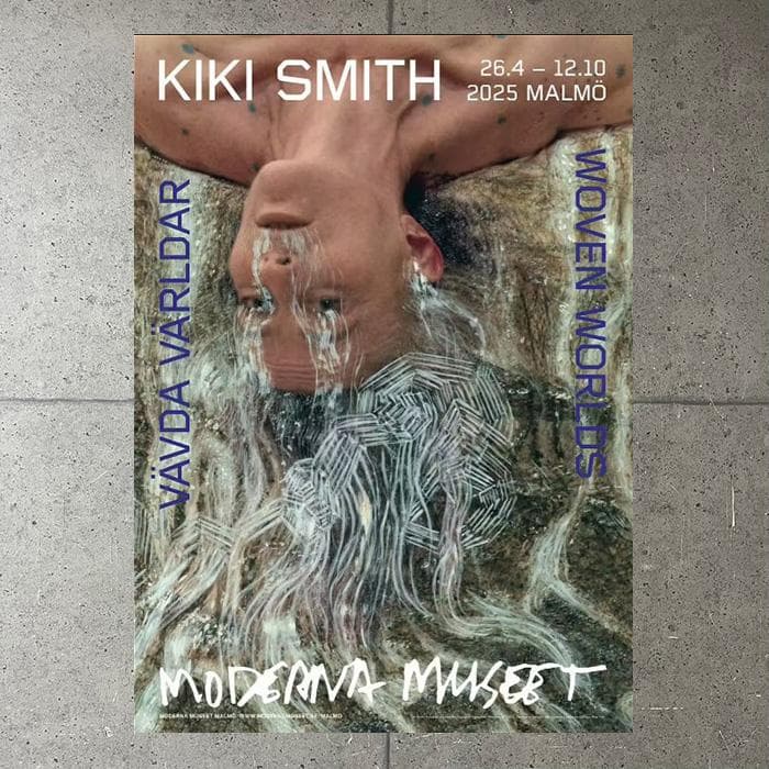 額装品/The Falls lll/キキ スミス/アート/ポスター/インテリア